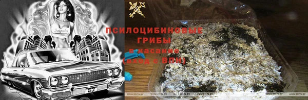 СК Аркадак