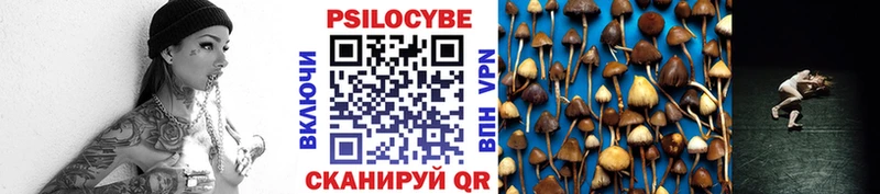 Псилоцибиновые грибы GOLDEN TEACHER  где можно купить   Починок 